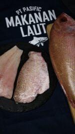 whole red snapper and fillet bali – wild-caught snapper