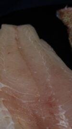 red snapper fillet close-up – fresh wild snapper texture bali