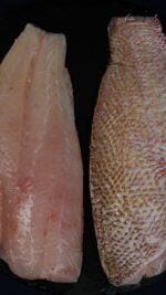 red snapper fillet bali – skin-on and skinless wild-caught fillet