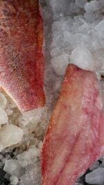 snapper fillet bali