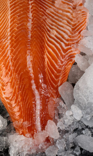 fresh salmon bali fillet texture close up