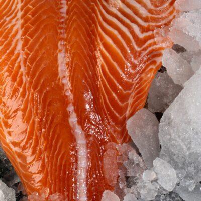 fresh salmon bali fillet texture close up