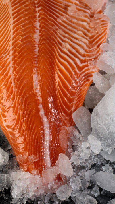 fresh salmon bali fillet texture close up