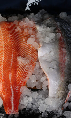 salmon fillet bali skin on and skinless