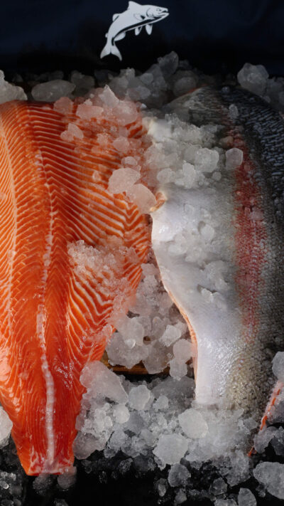 FRESH SALMON FILLET