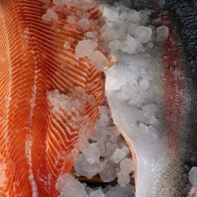 salmon fillet bali skin on and skinless