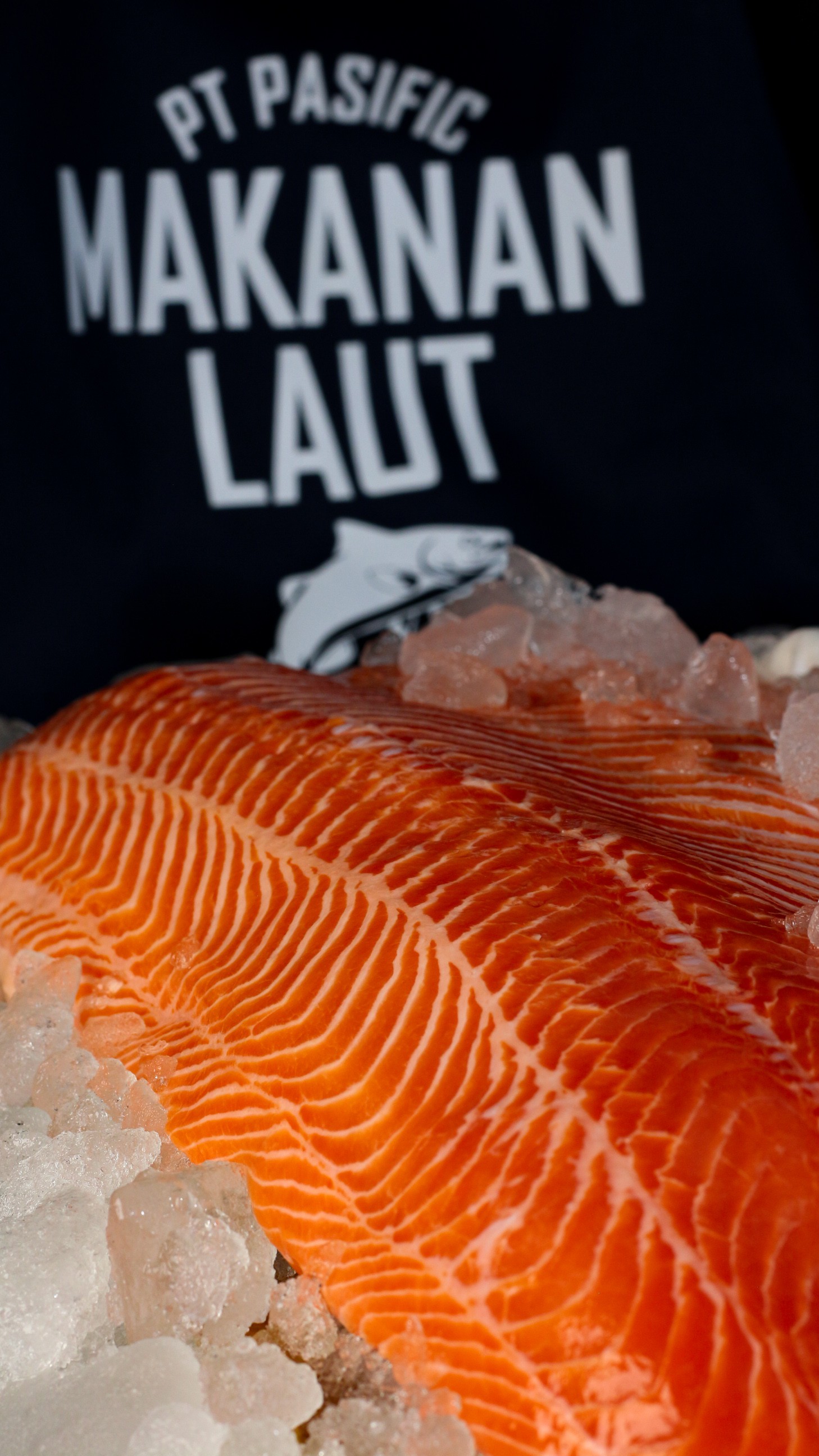 SALMON AND SALMON PRODUCTS