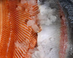 FRESH SALMON FILLET - Image 3