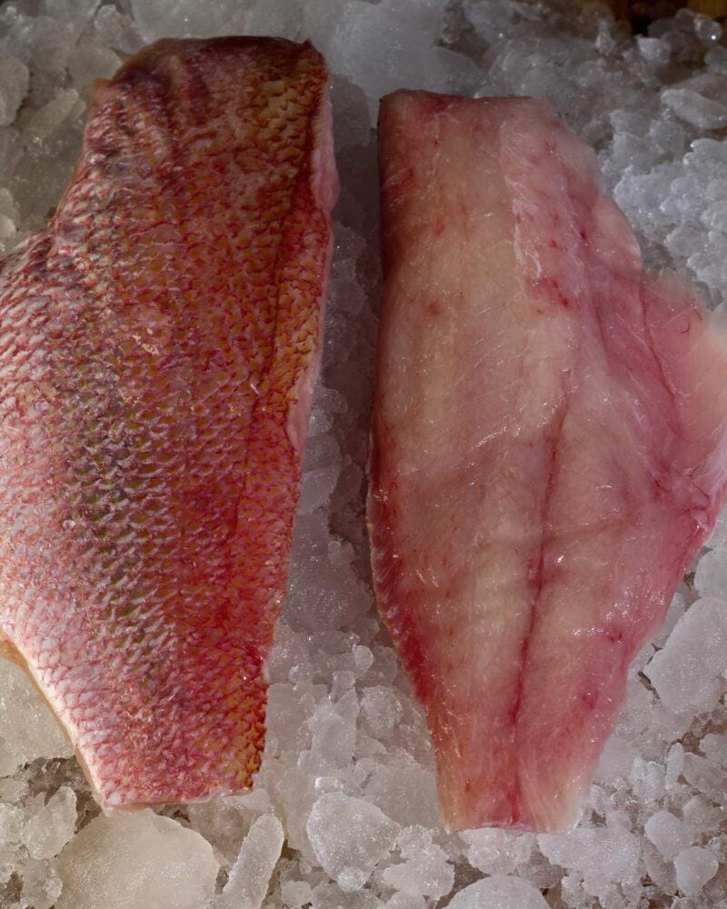 Snapper Fillet Bali — IDR 275,000/kg | Same-Day Delivery
