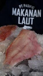 snapper fillet bali