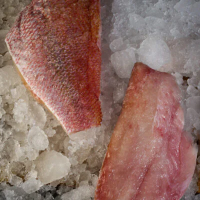 snapper fillet Bali