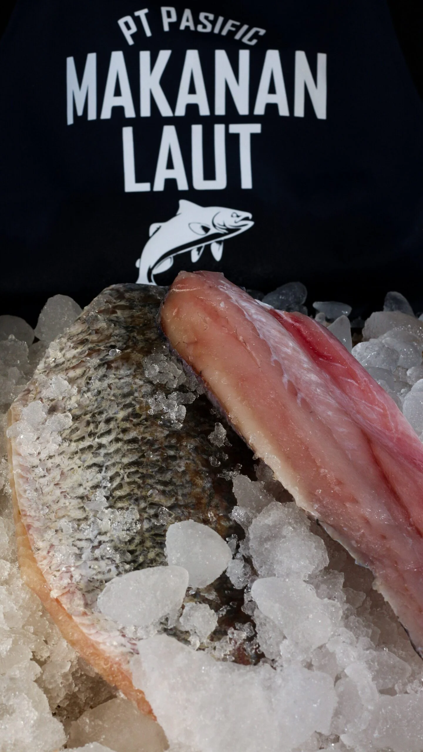barramundi fillet bali fresh fish