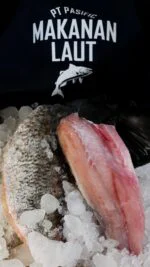 barramundi fillet bali supplier