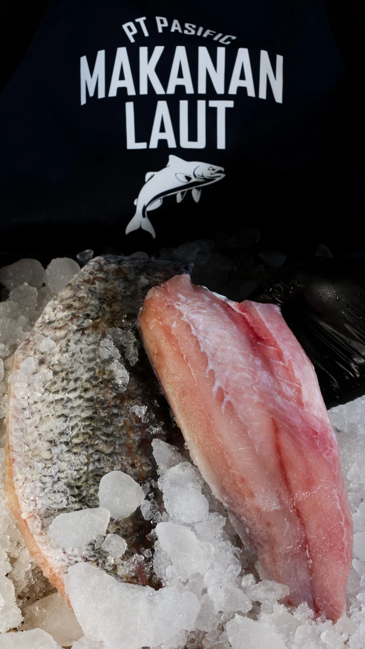 barramundi fillet bali supplier