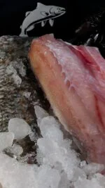 barramundi fillet bali fresh seafood