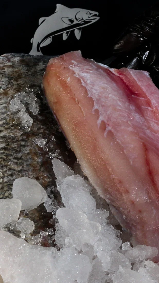 barramundi fillet bali fresh seafood