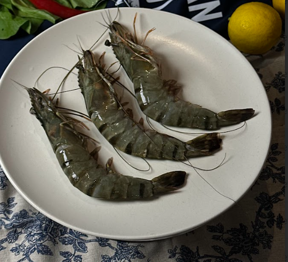TIGER PRAWNS - Image 3