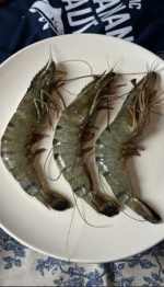 TIGER PRAWNS - Image 2