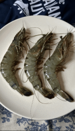 large tiger prawns Bali