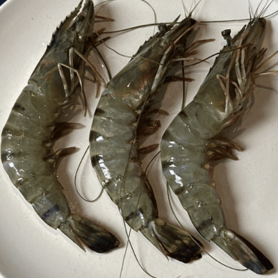 large tiger prawns Bali