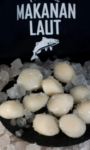 seafood supplier bali – sashimi grade scallops on ice from alaska