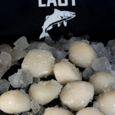 seafood supplier bali – sashimi grade scallops on ice from alaska