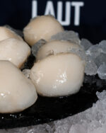 ALASKA SCALLOPS - Image 3