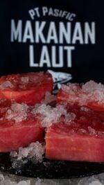 tuna fillet bali – premium tuna steaks displayed on ice