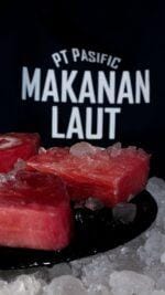 tuna steak bali – fresh tuna loin on ice from premium seafood supplier