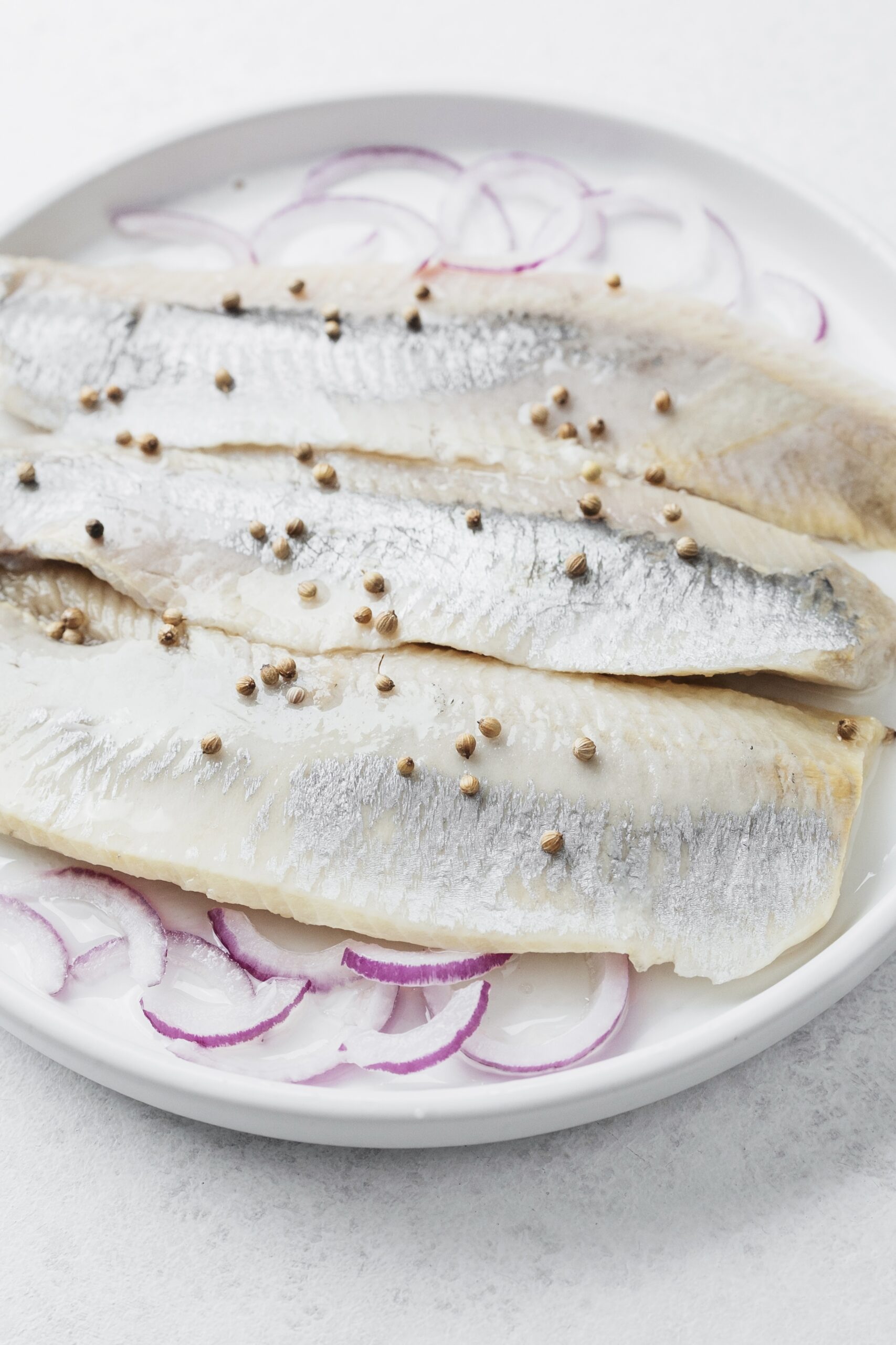 Norwegian Herring in Bali | Premium Salted Fillet Norwegian salted herring fillet in Bali premium quality