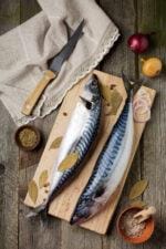 Bali saba fillet premium mackerel seafood