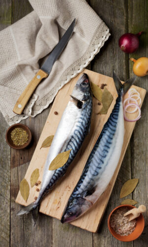 Bali saba fillet premium mackerel seafood