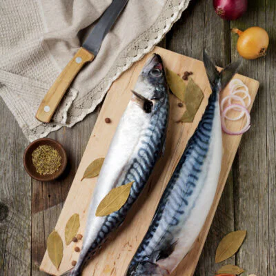 Bali saba fillet premium mackerel seafood