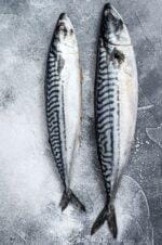 Saba mackerel Bali premium Japanese mackerel fillet