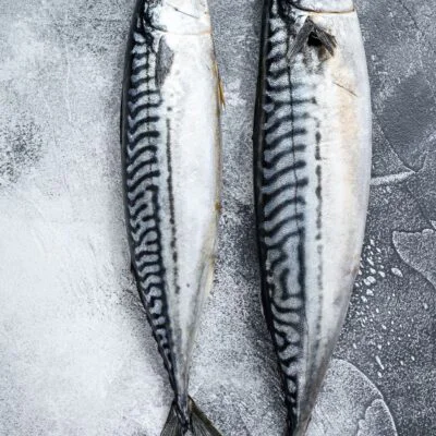 Saba mackerel Bali premium Japanese mackerel fillet
