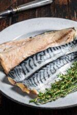Frozen saba mackerel fillet Bali high-quality seafood