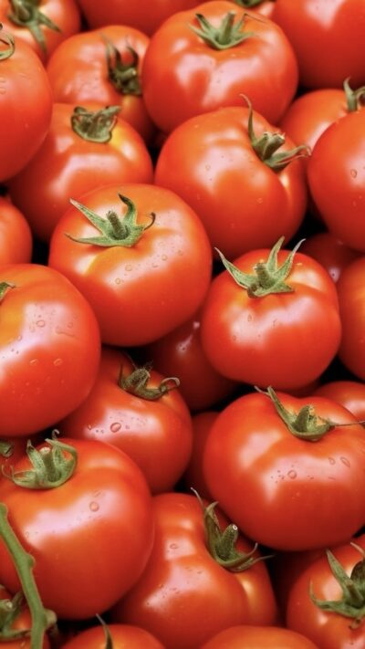 local organic tomatoes Bali