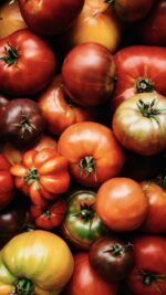 natural organic tomatoes Bali