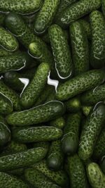 organic cucumbers bali