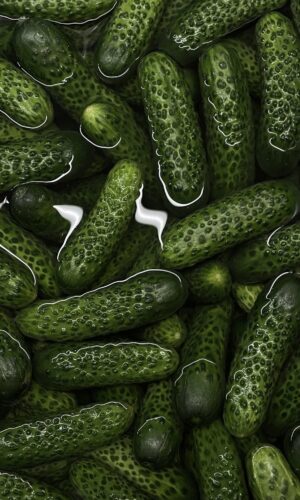 organic cucumbers bali