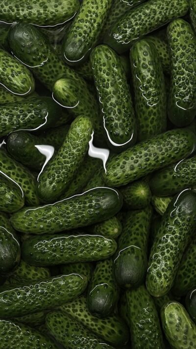 organic cucumbers bali