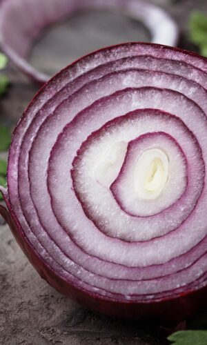 fresh natural red onions bali