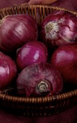 farm fresh red onions bali