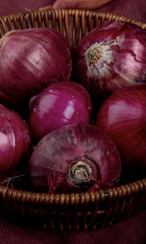 farm fresh red onions bali