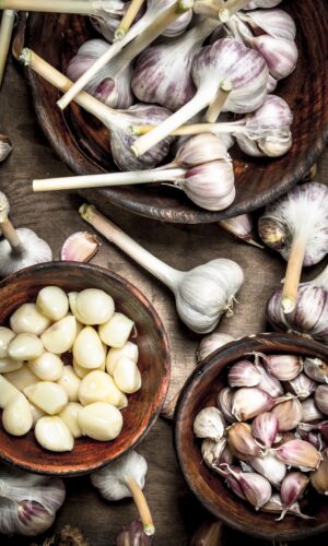 farm fresh garlic bali