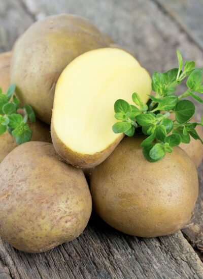 fresh natural potatoes bali