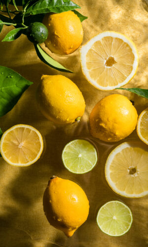 farm fresh lemons bali