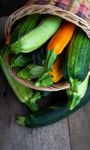 farm fresh zucchini bali
