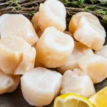 alaska sea scallops from bali seafood supplier