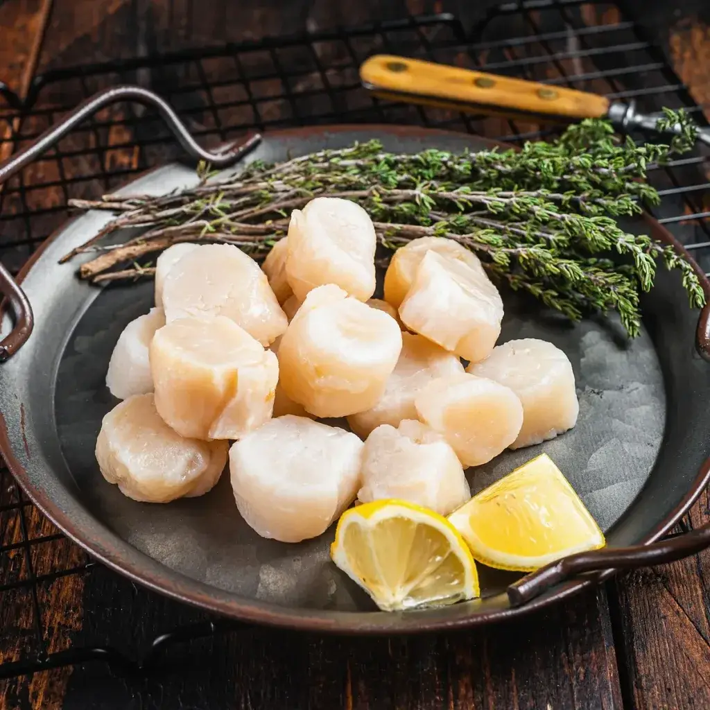 alaska sea scallops bali